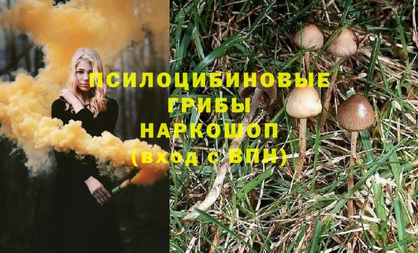 каннабис Аркадак