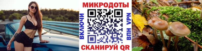 Купить где Арамиль Галлюциногенные грибы Psilocybine cubensis